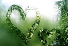 问鼎娱乐：欧冠综合：巴黎“点杀”利物浦晋级八.