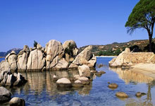 [高尔夫]卡塔尔大师赛皮特森与汤普森领先 李昊桐丁文一T12.